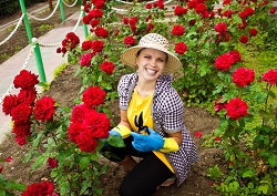 Great Garden Maintenance Service in Notting Hill, W11